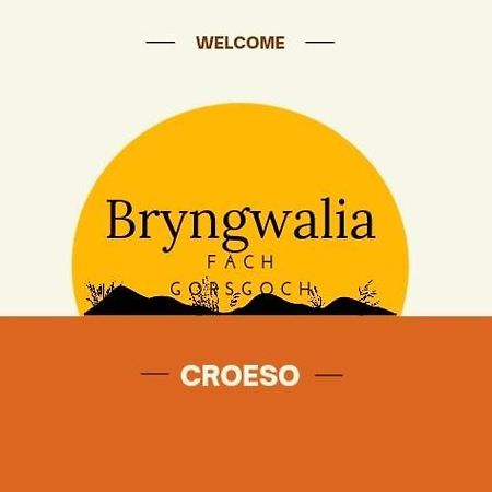 Bryngwalia Fach Apartment Cribyn Bagian luar foto